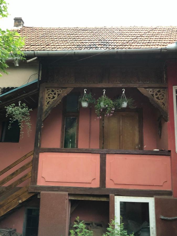 Cezara Mediaş Exterior foto