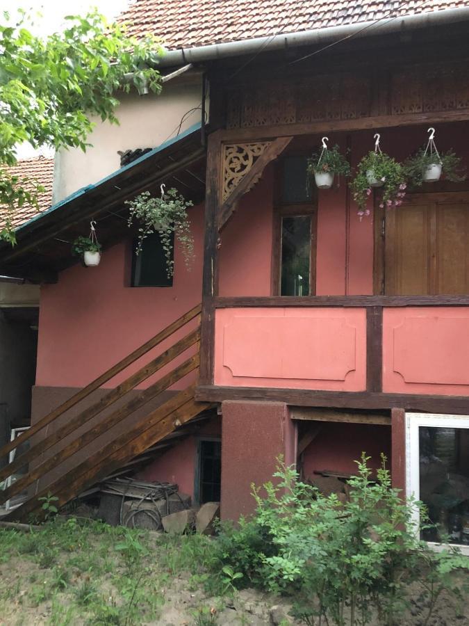 Cezara Mediaş Exterior foto